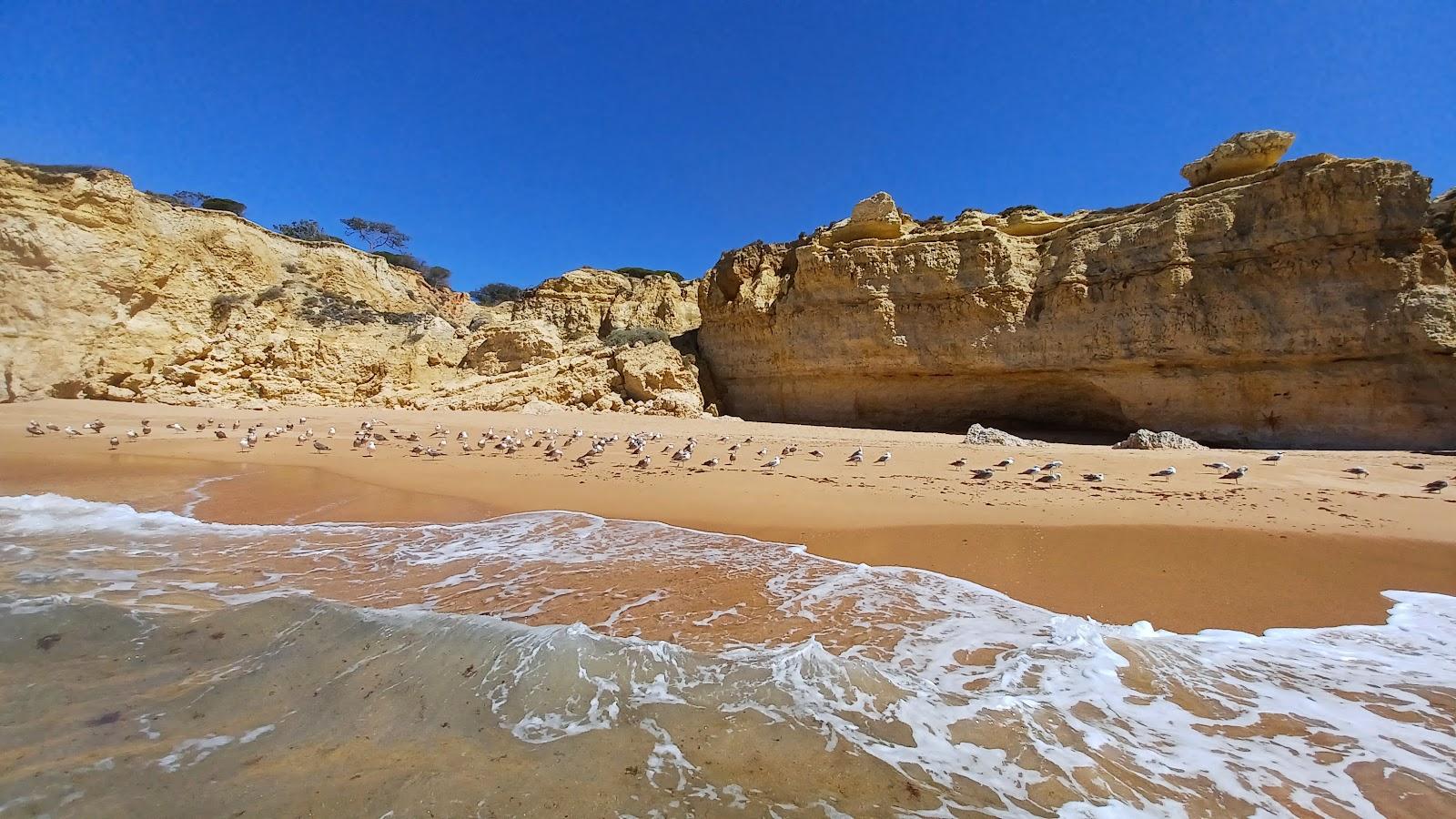 Sandee Praia Das Salamitras