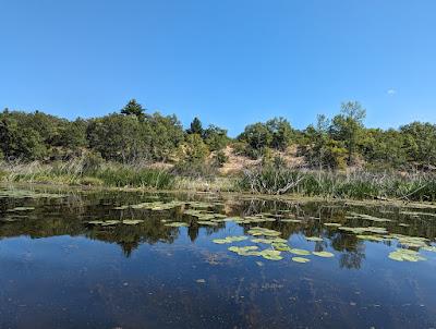 Sandee - Port Crescent State Park