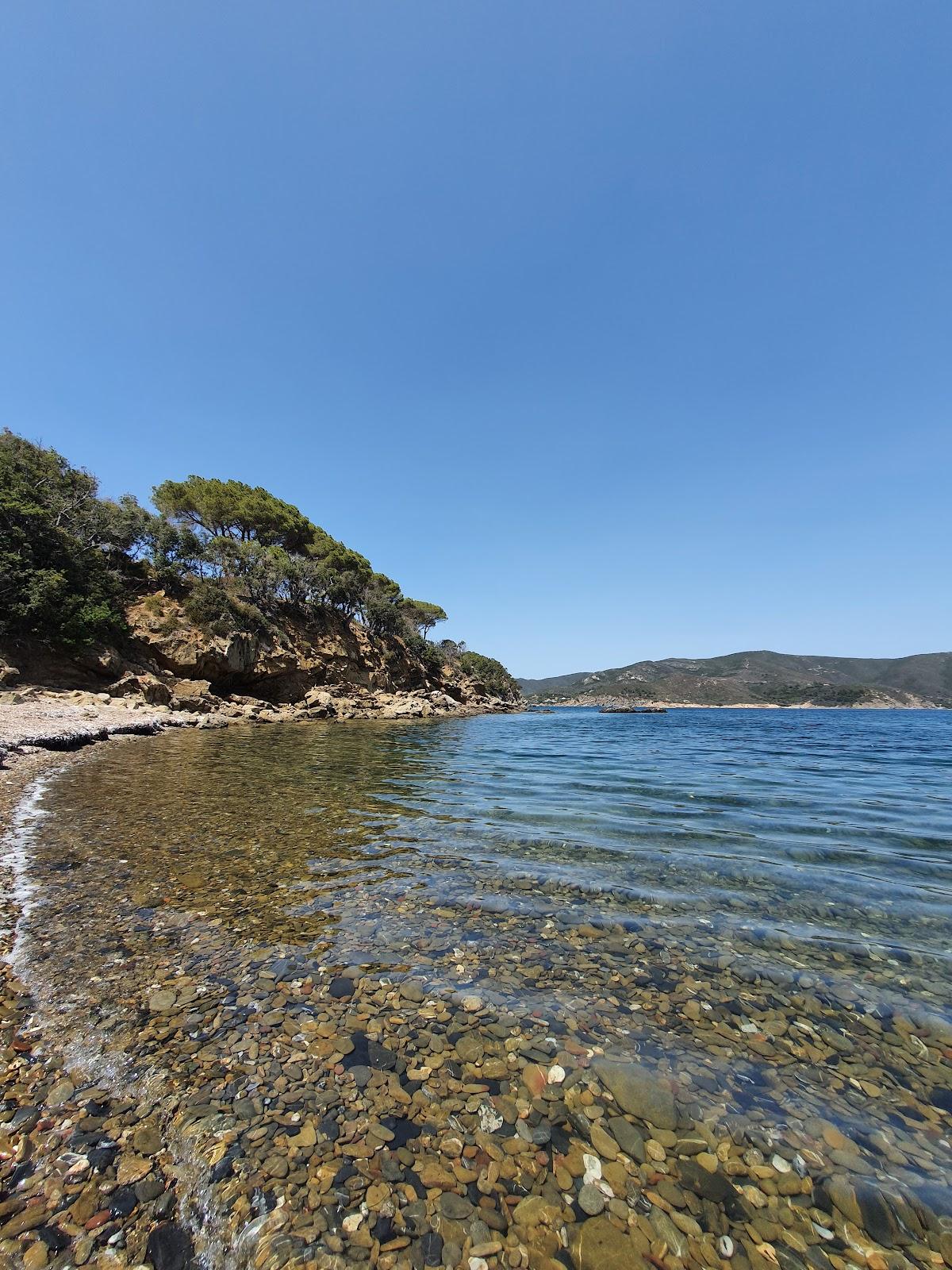 Sandee Spiaggia Salandro