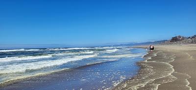 Sandee - Neskowin Ghost Forest