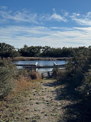 Sandee - Sherman Cove Beach