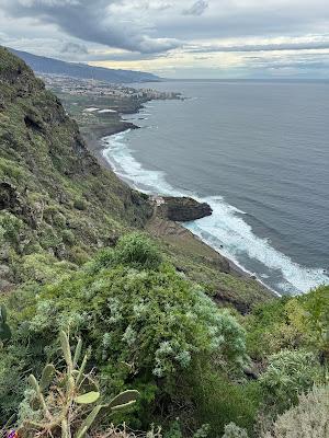 Sandee - Playa Del Ancon