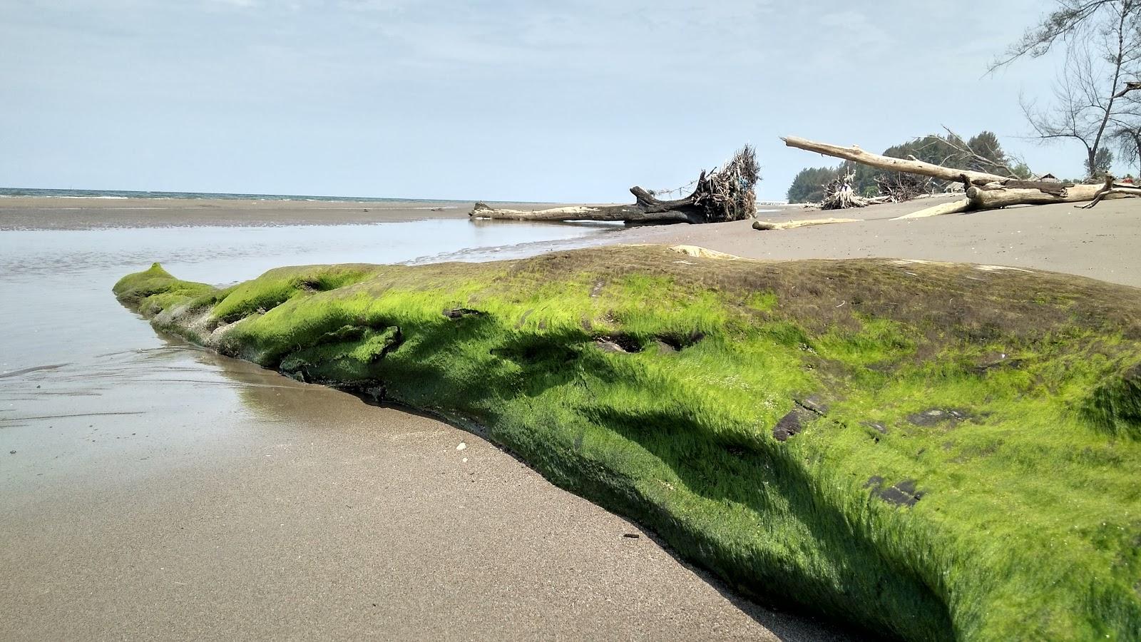 Sandee Island Beach Semadu
