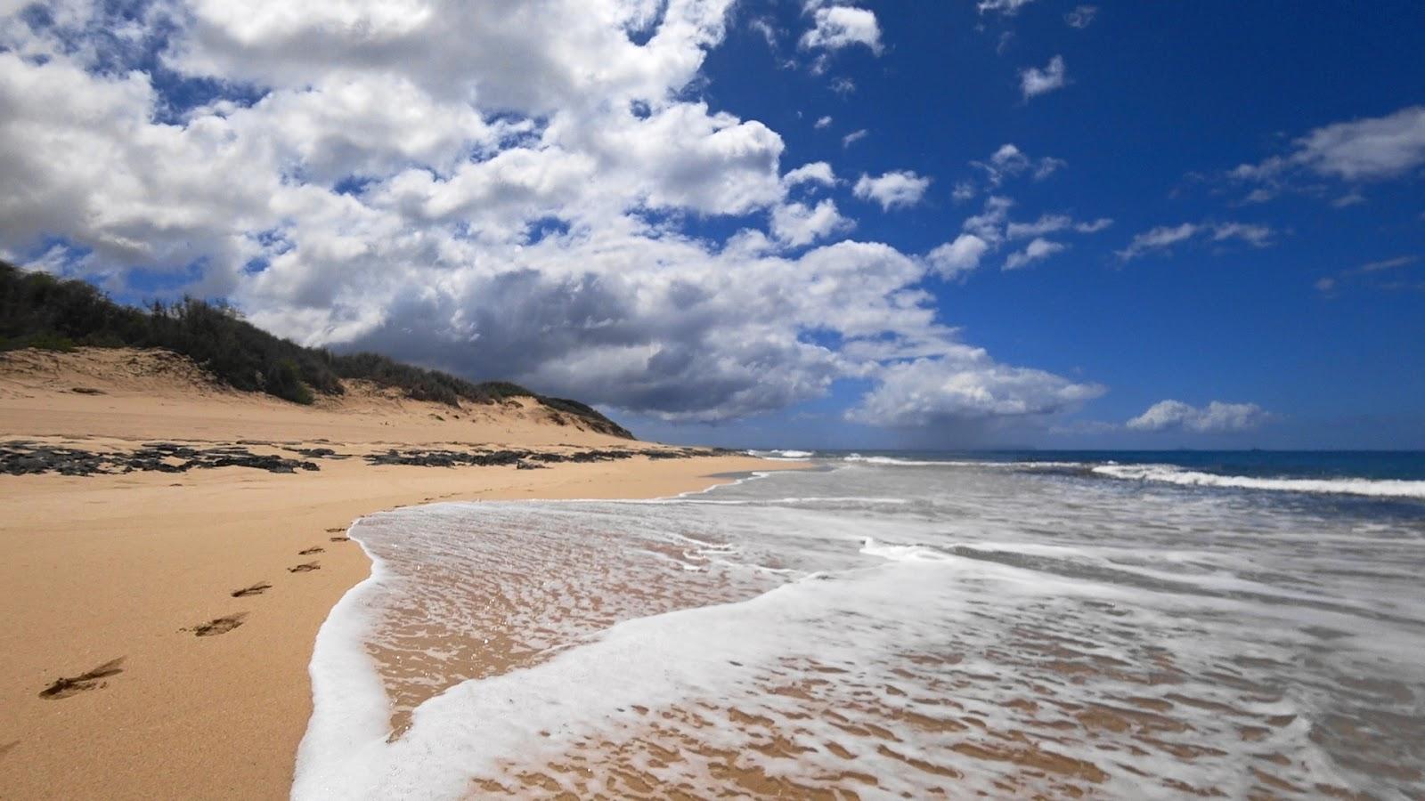 Sandee - Barking Sands Beach