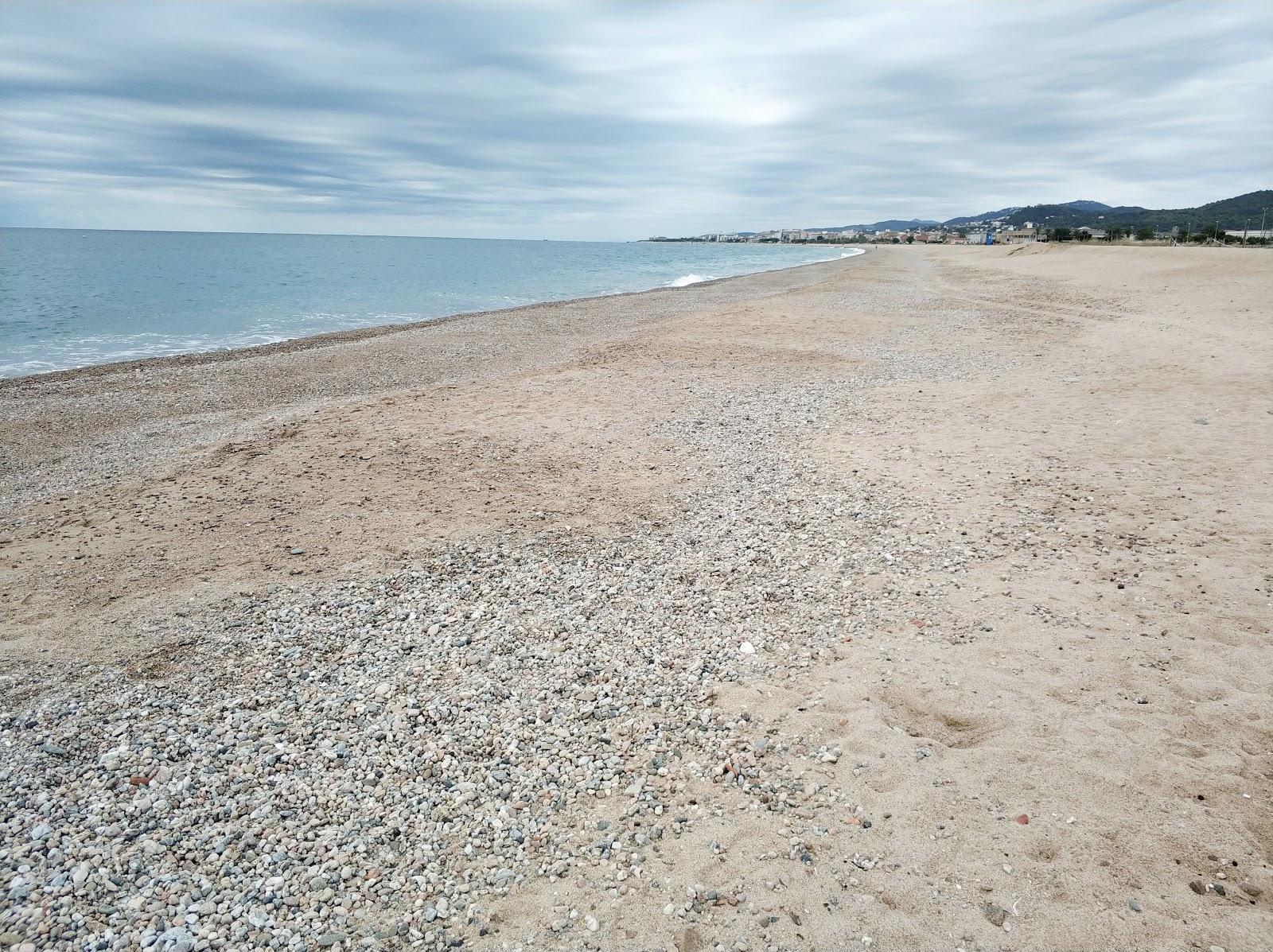 Sandee - Playa De La Punta De La Tordera