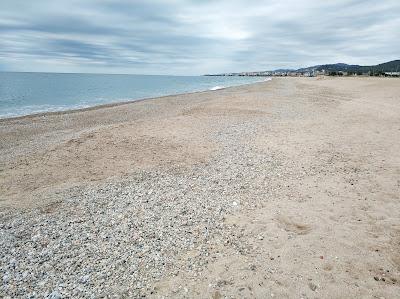 Sandee - Playa De La Punta De La Tordera