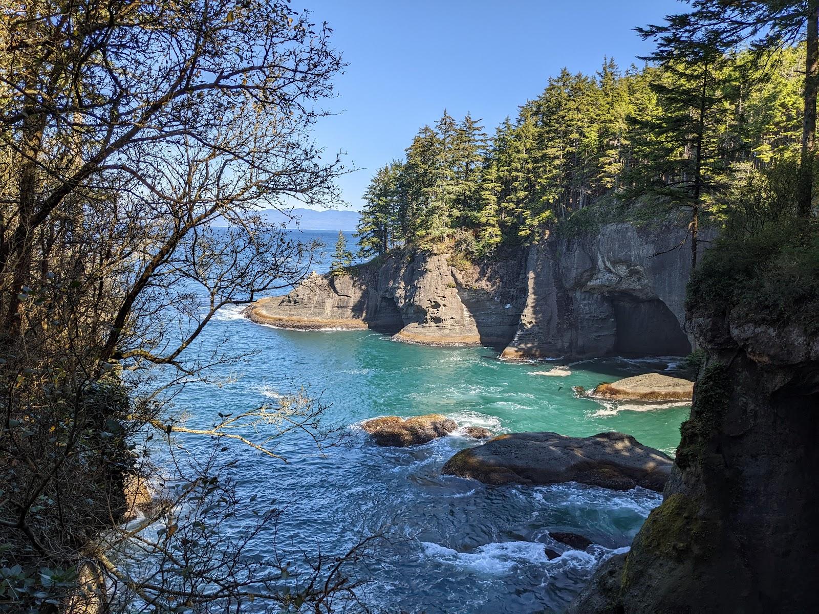 Sandee Cape Flattery Photo