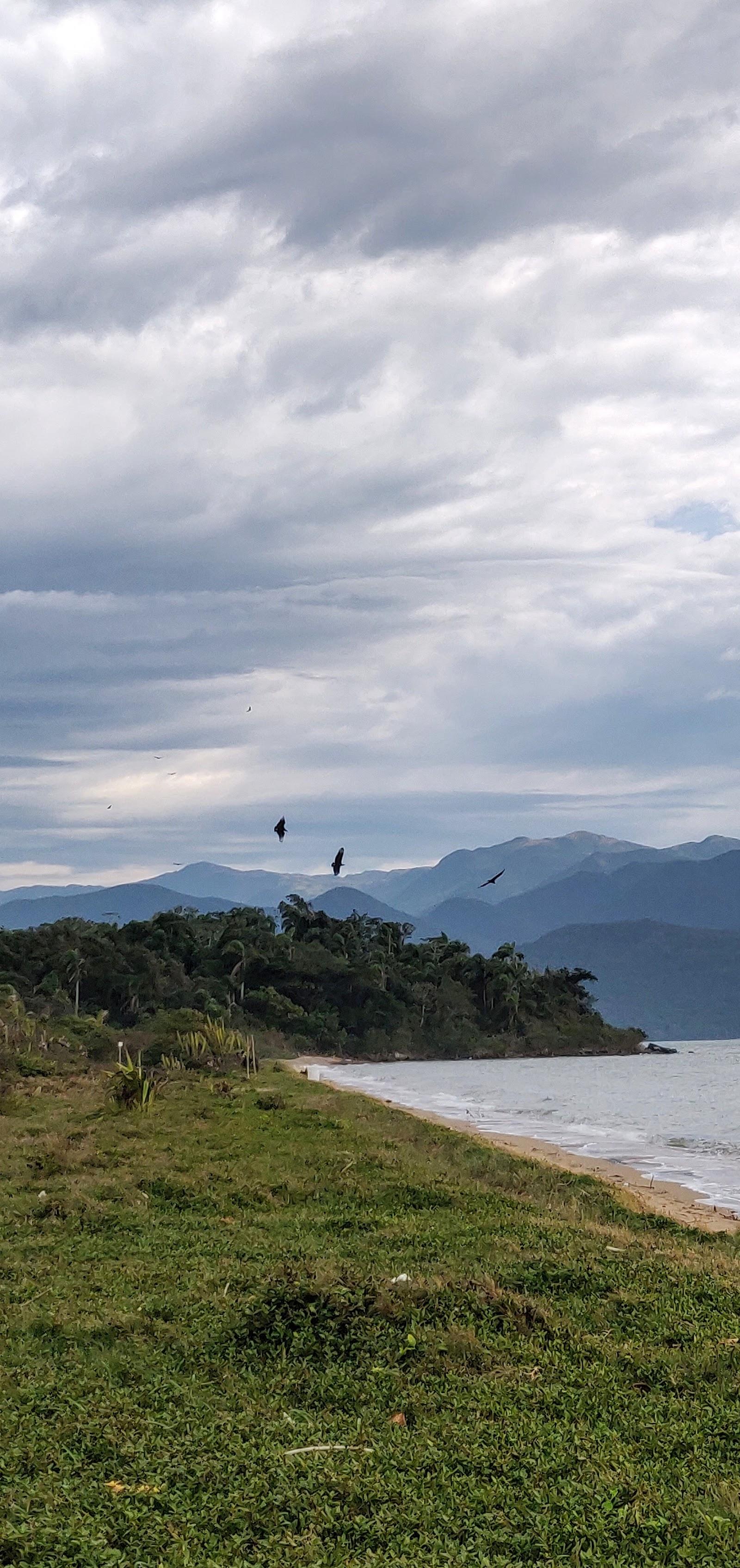 Sandee - Praia Ponta De Caiacanguacu