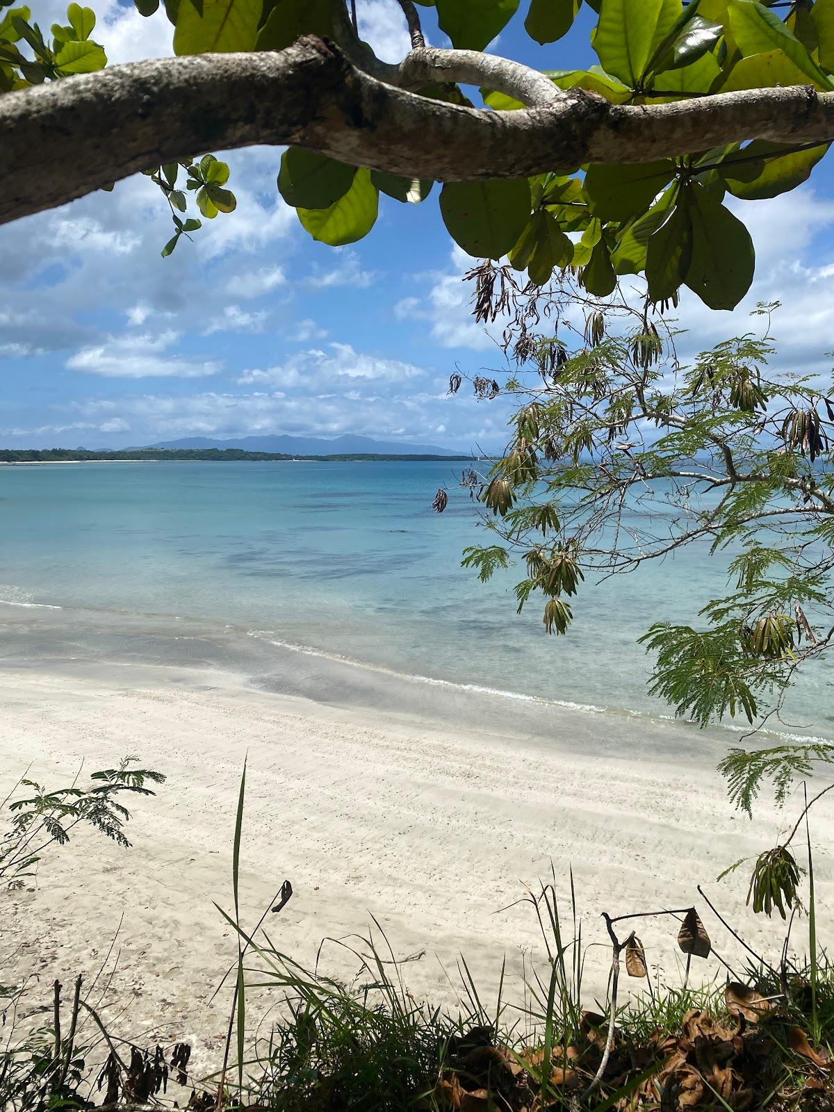 Sandee Angelica Paradise Beach