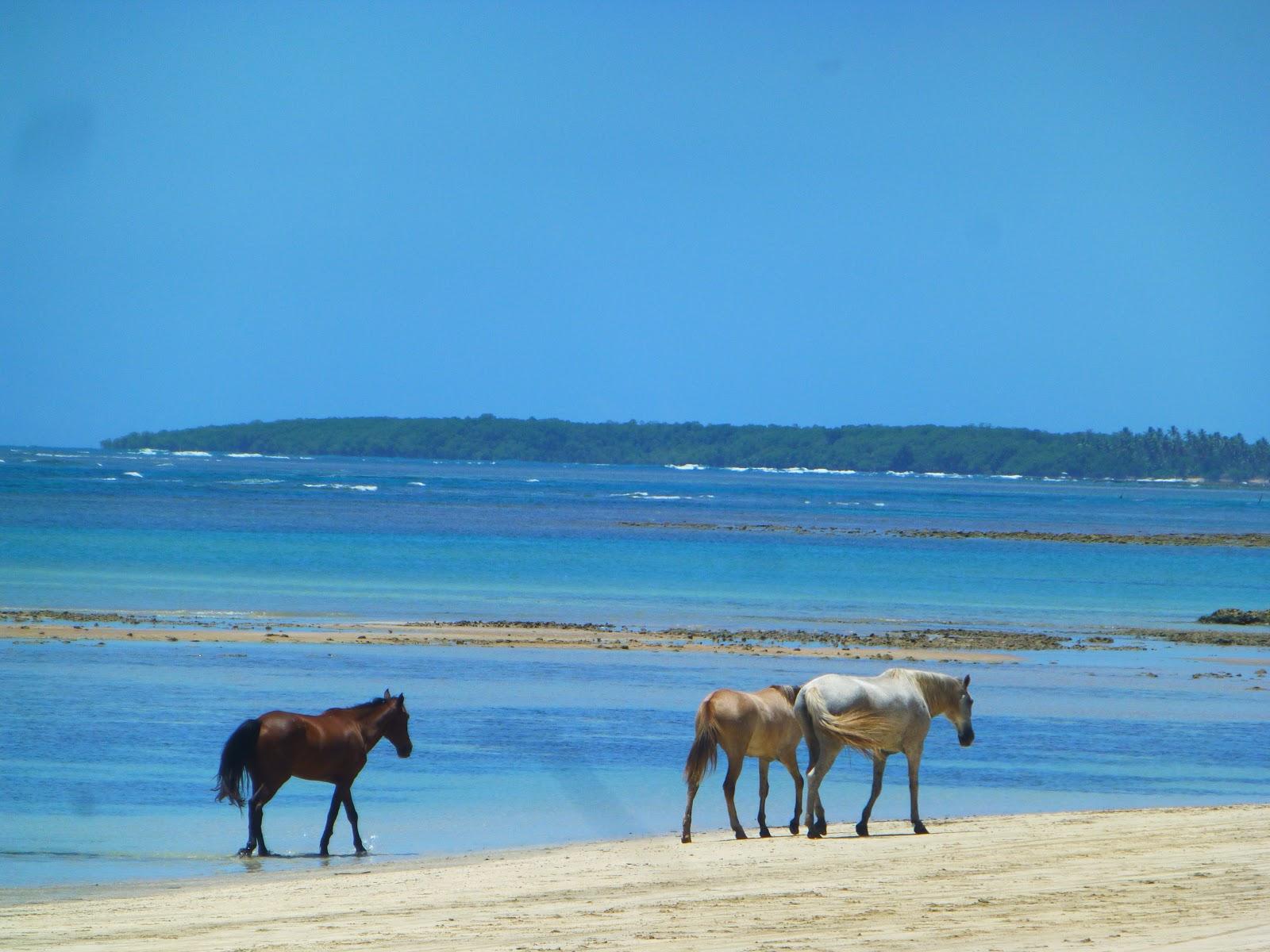 Sandee - Quarta Praia