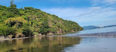 Sandee - Playa Playona