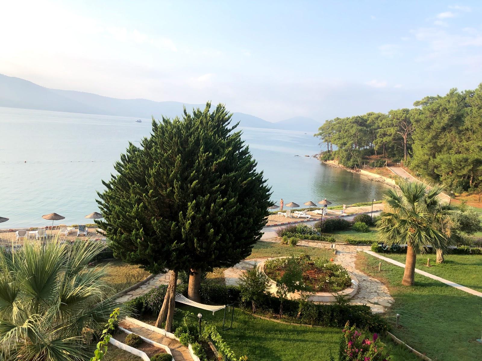 Sandee Yarim Liman Sitesi Beach