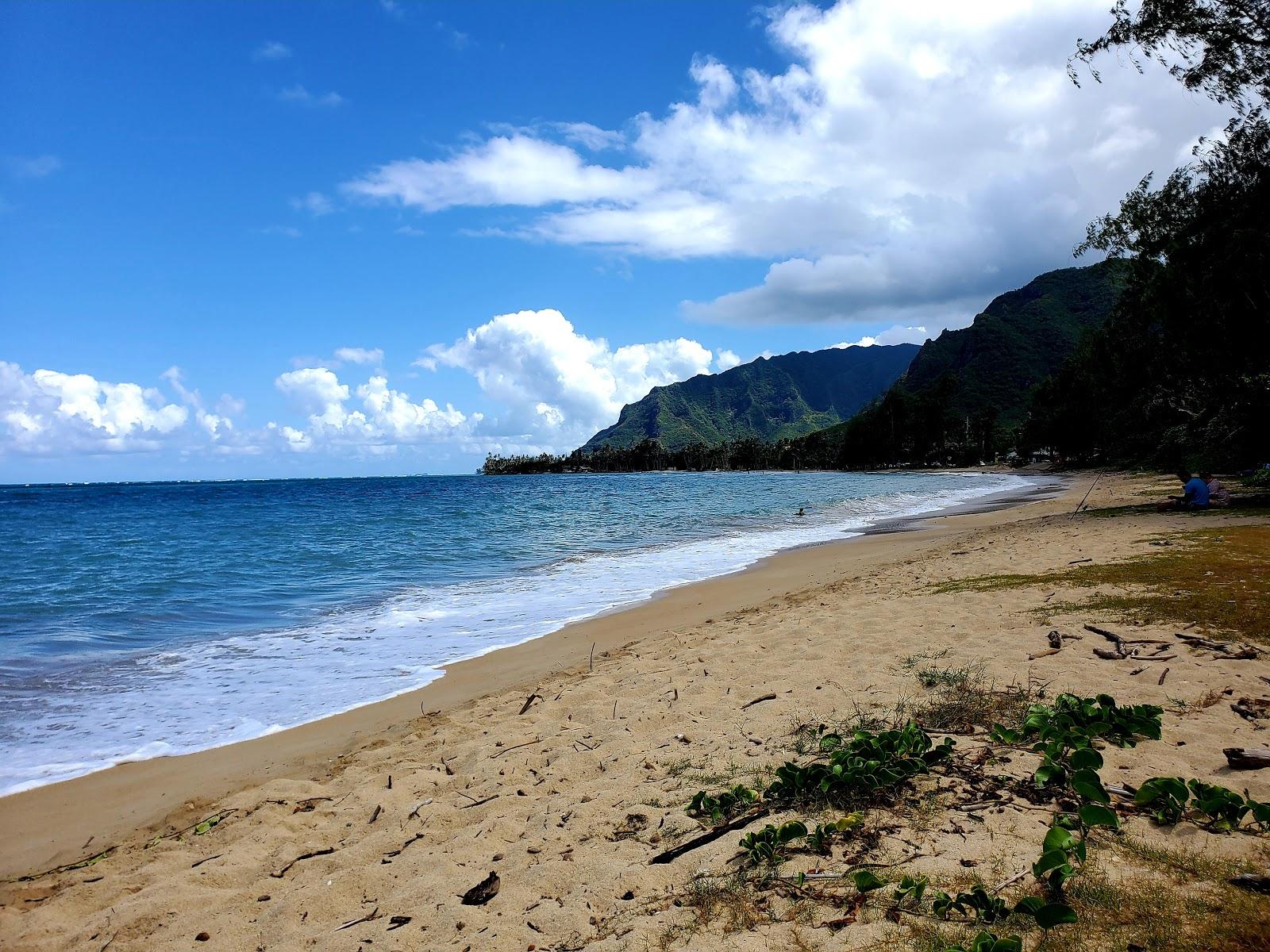 Sandee Punaluu Beach Park