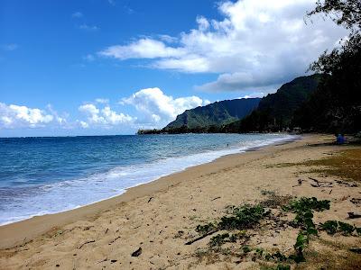 Sandee - Punaluu Beach Park