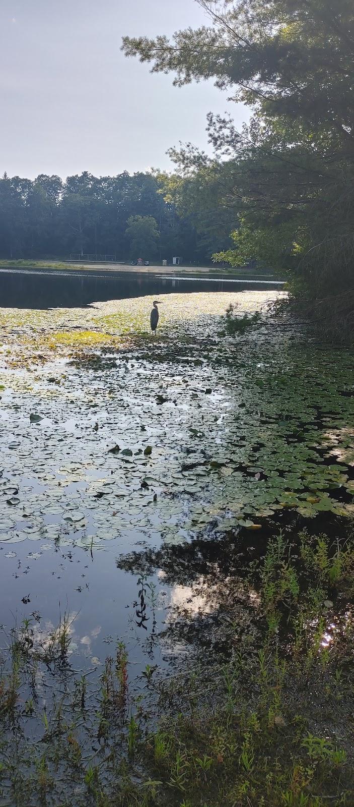 Sandee Silver Lake Beach Photo