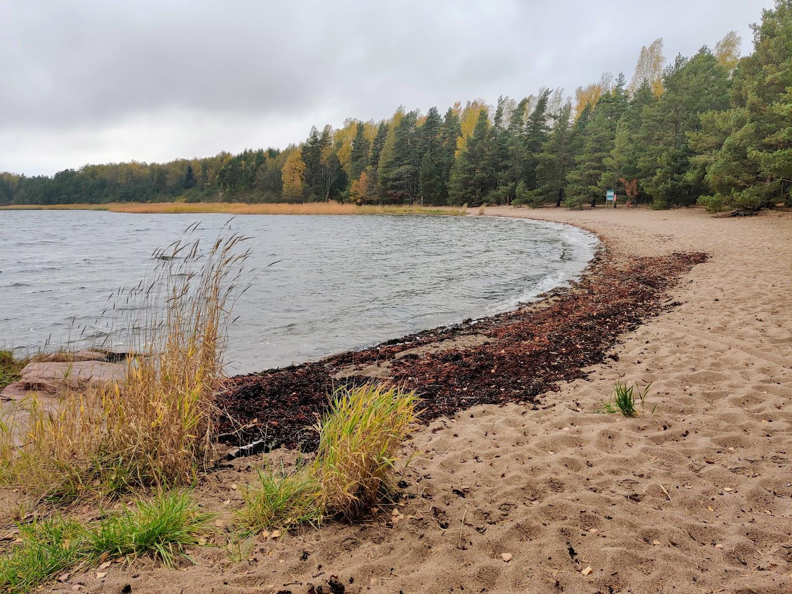 Sandee Sandviken Beach Inkoo