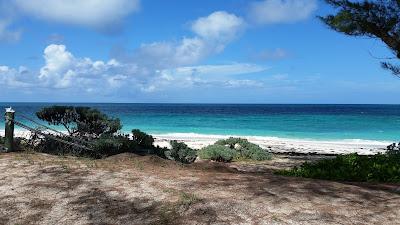 Sandee - Coco Bay Beach