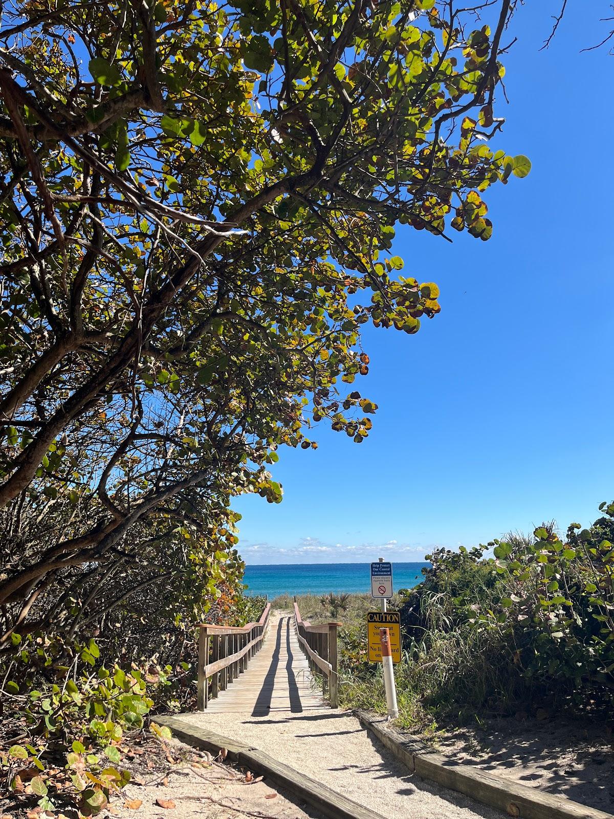 Sandee - Ocean Ridge Hammock Park