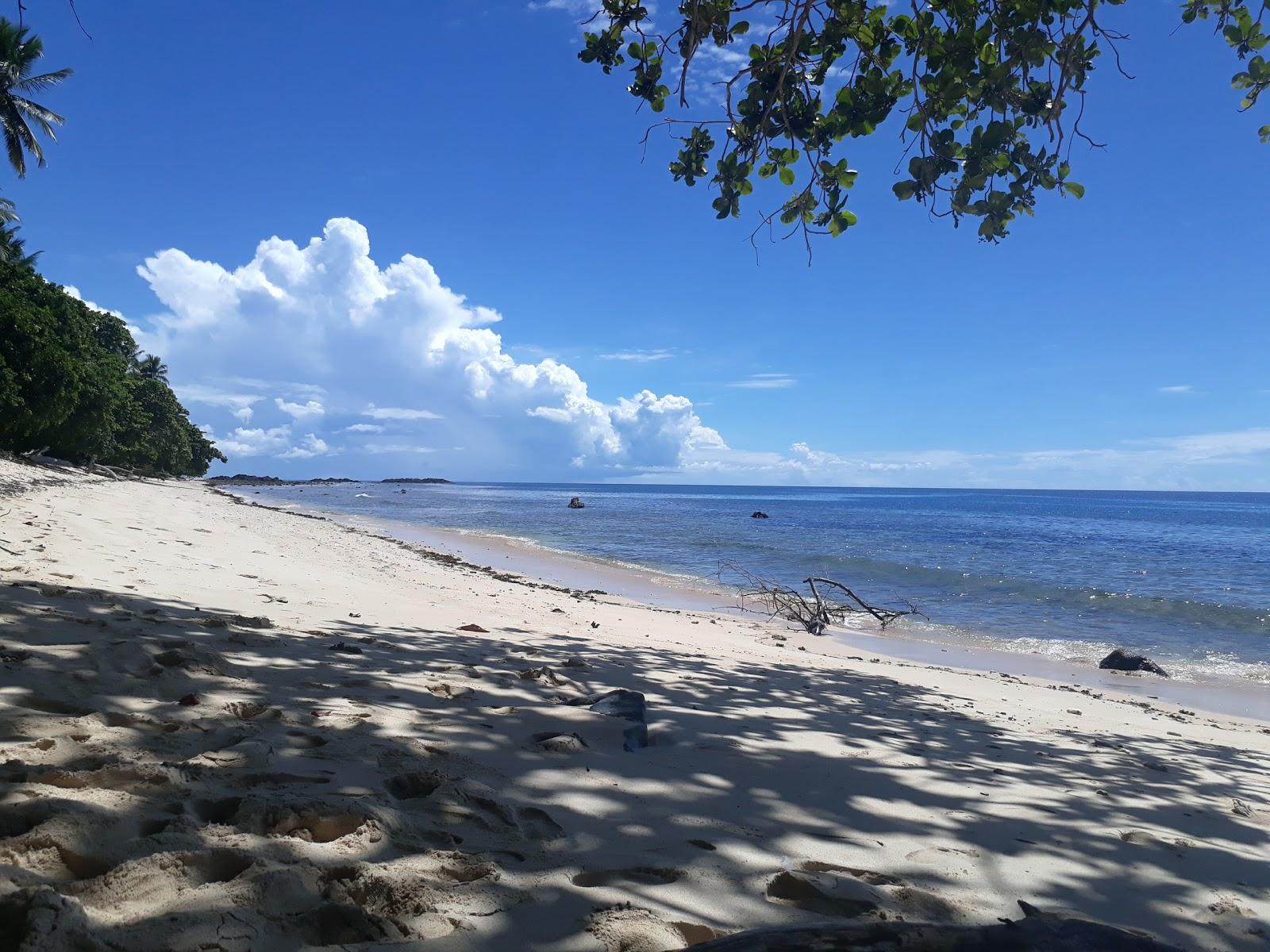 Sandee Tanjung Dulang Beach Photo