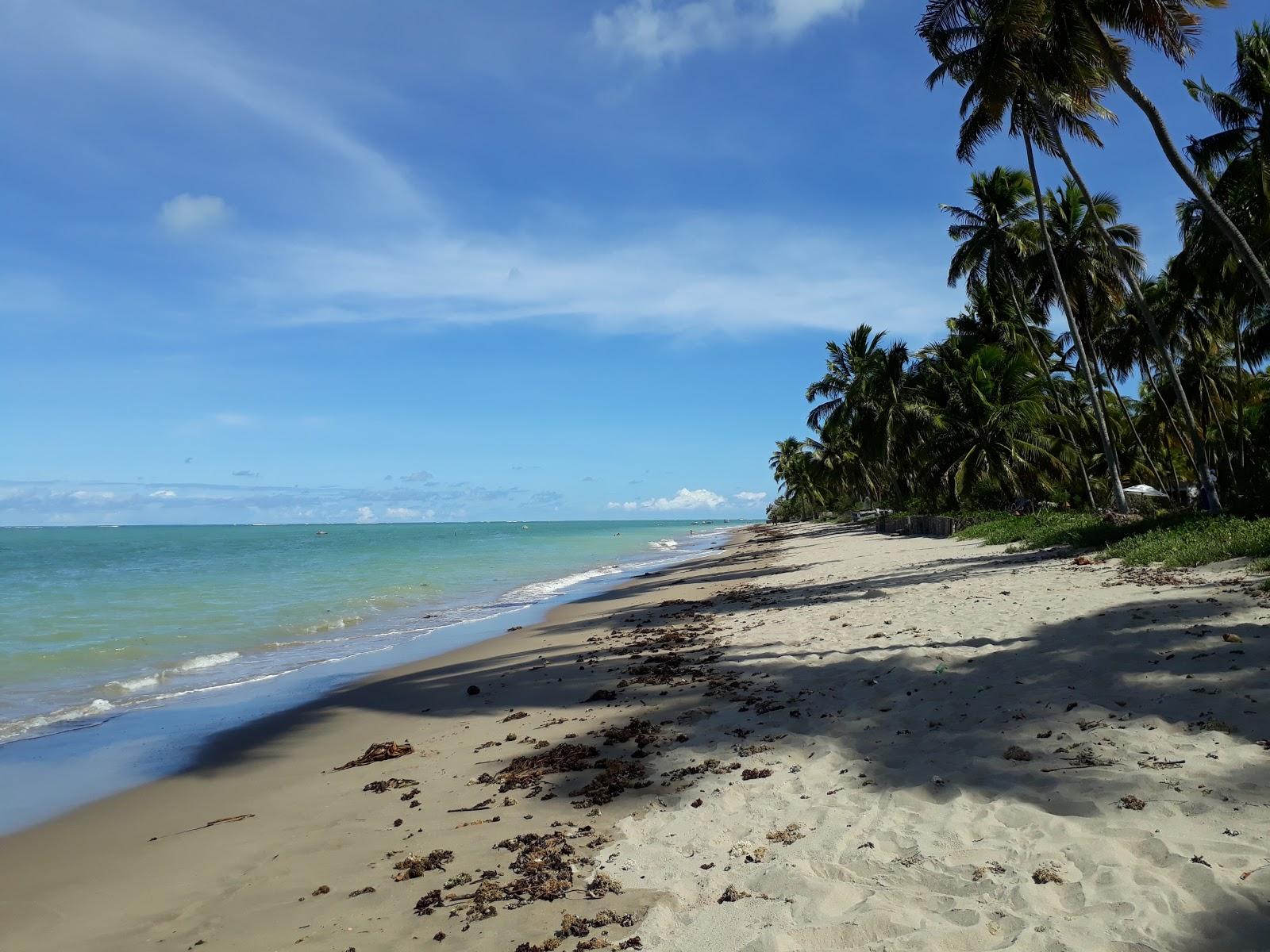 Sandee Praia Do Patacho - Rota Ecologica Dos Milagres