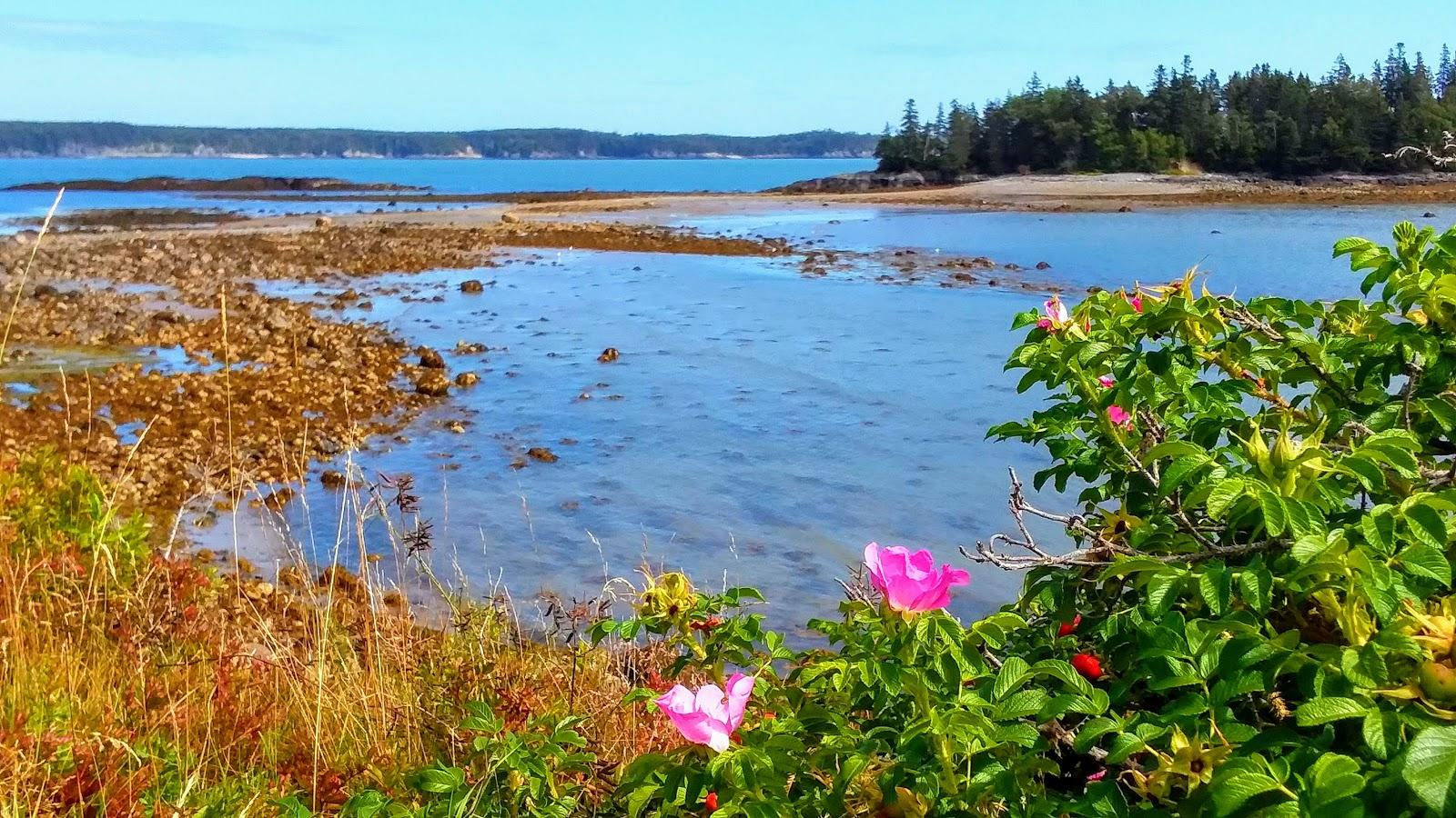 Sandee - Sandy River Beach