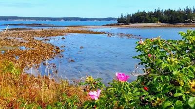 Sandee - Sandy River Beach