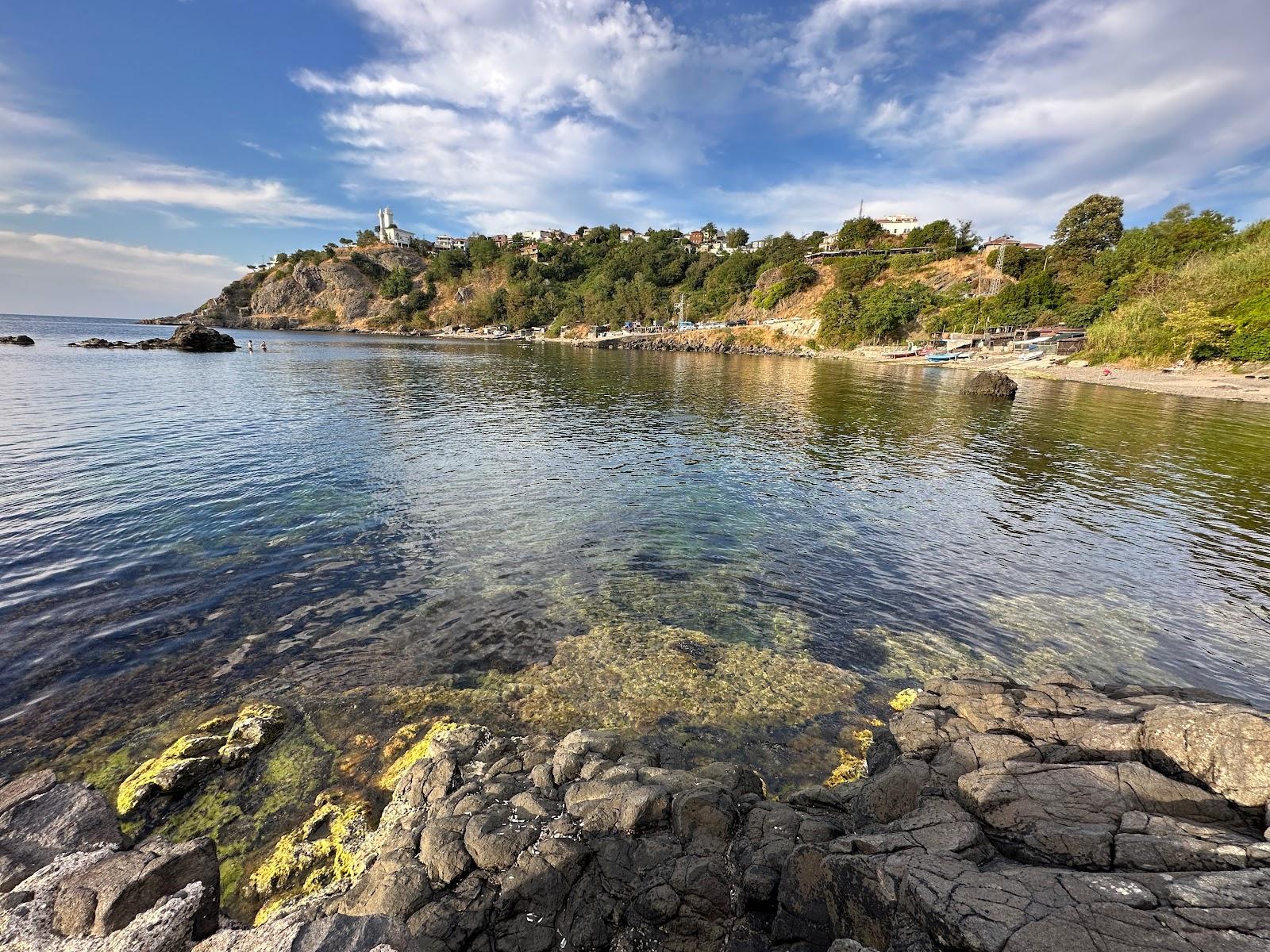 Sandee Anadolufeneri Plajı