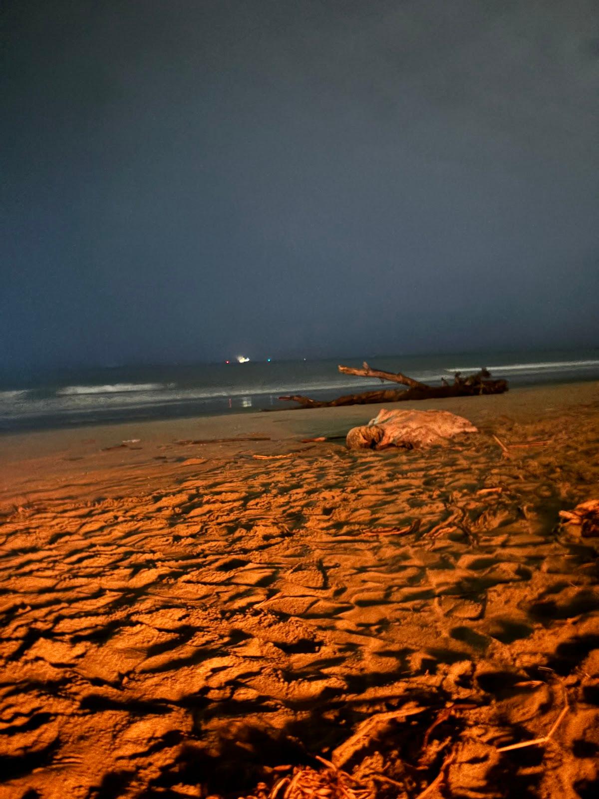 Sandee Muelle De Los Practicos Playas Ecuador