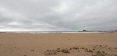 Sandee - Plage Oued Ykem