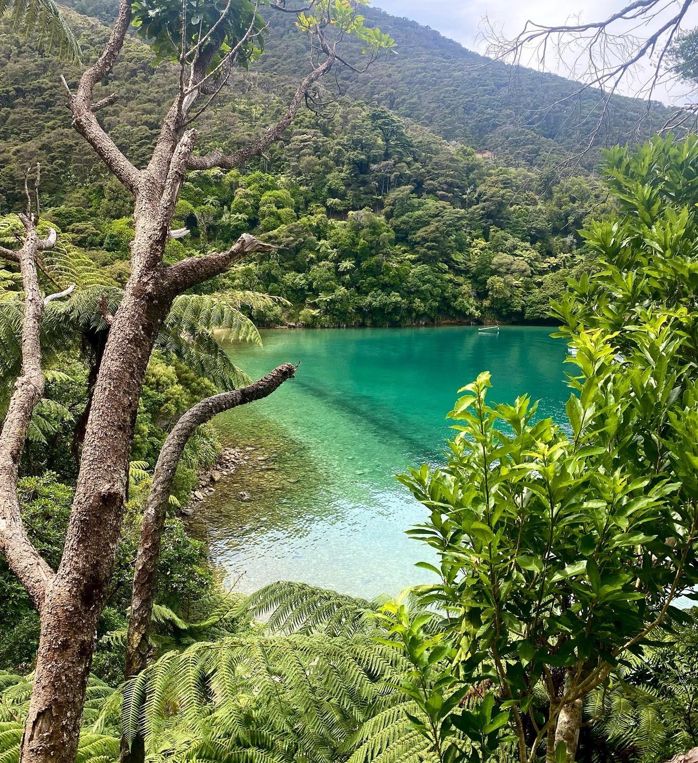 Sandee Schoolhouse Bay