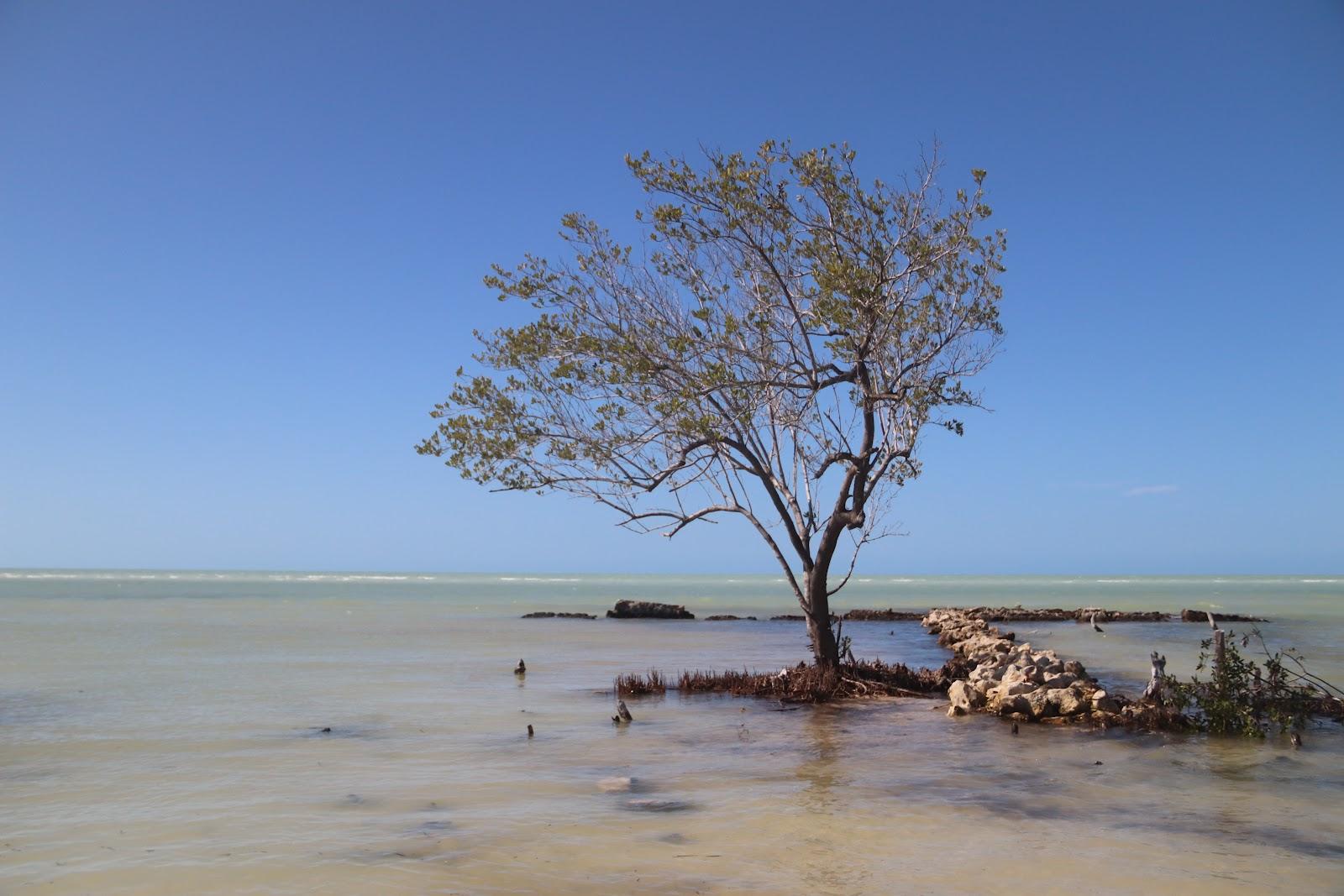 Sandee Sinai Beach Photo