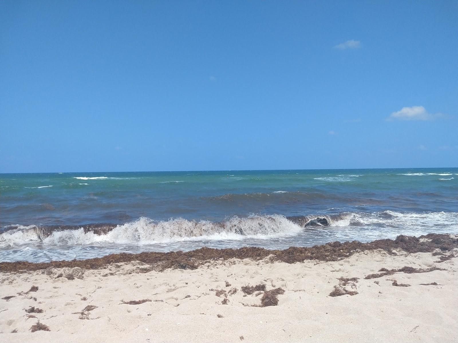 Sandee Playa Nudista Diana Gzz