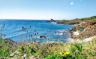 Sandee - Cala Raja / Cala Del Dedo