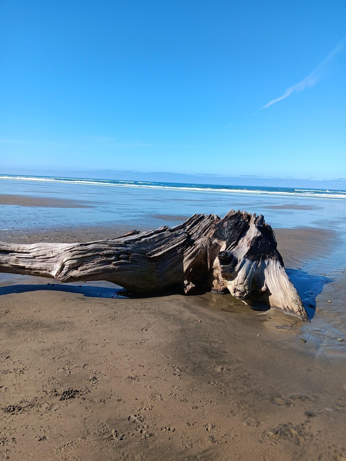 Sandee - Driftwood Beach State Recreation Site