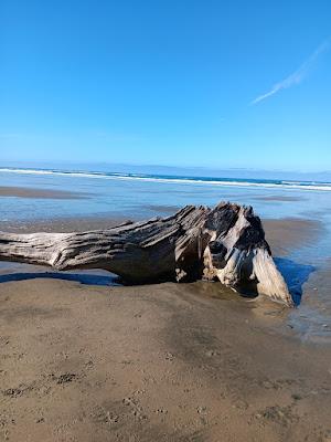 Sandee - Driftwood Beach State Recreation Site