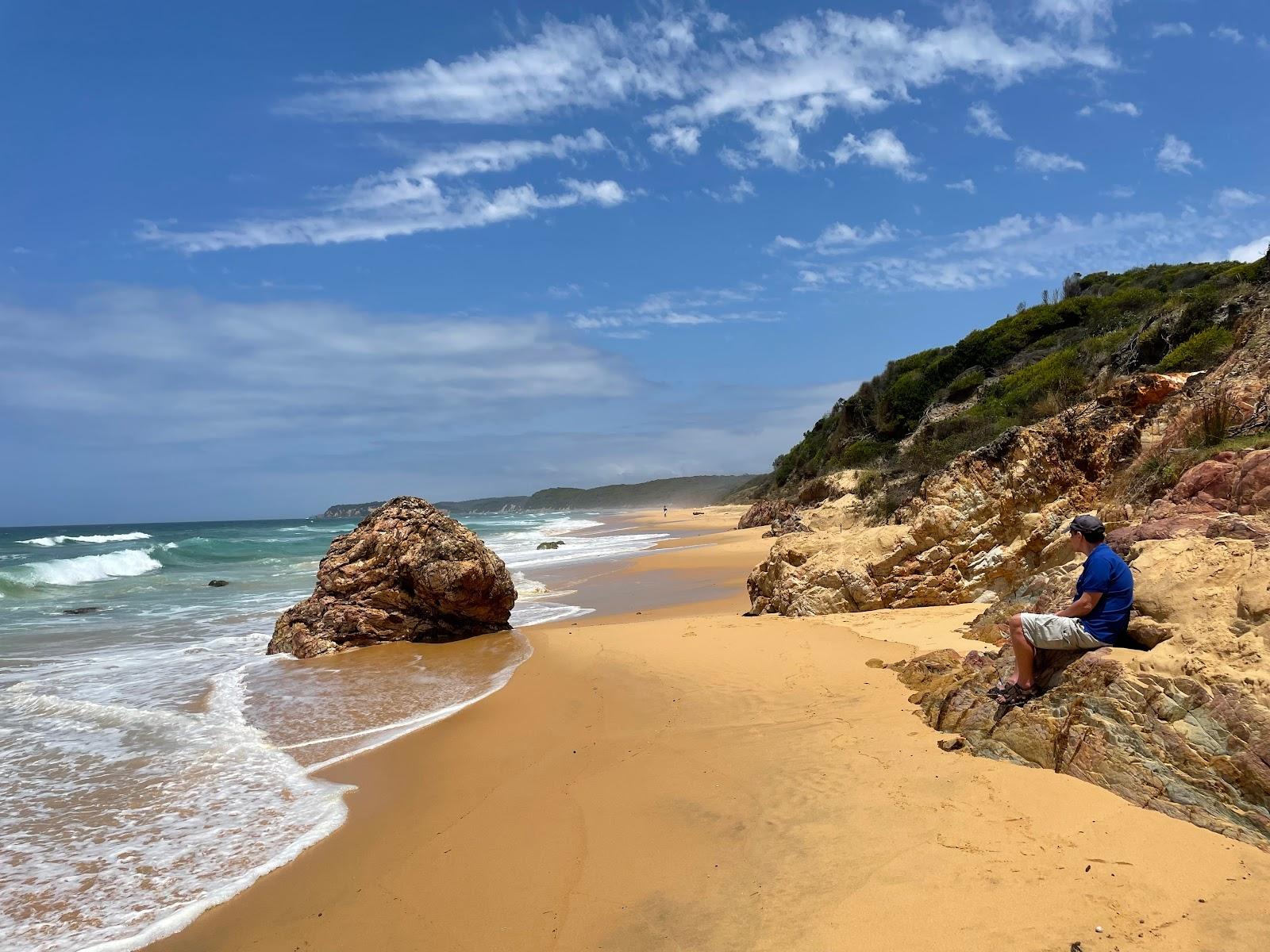 Sandee Gillards Beach Photo