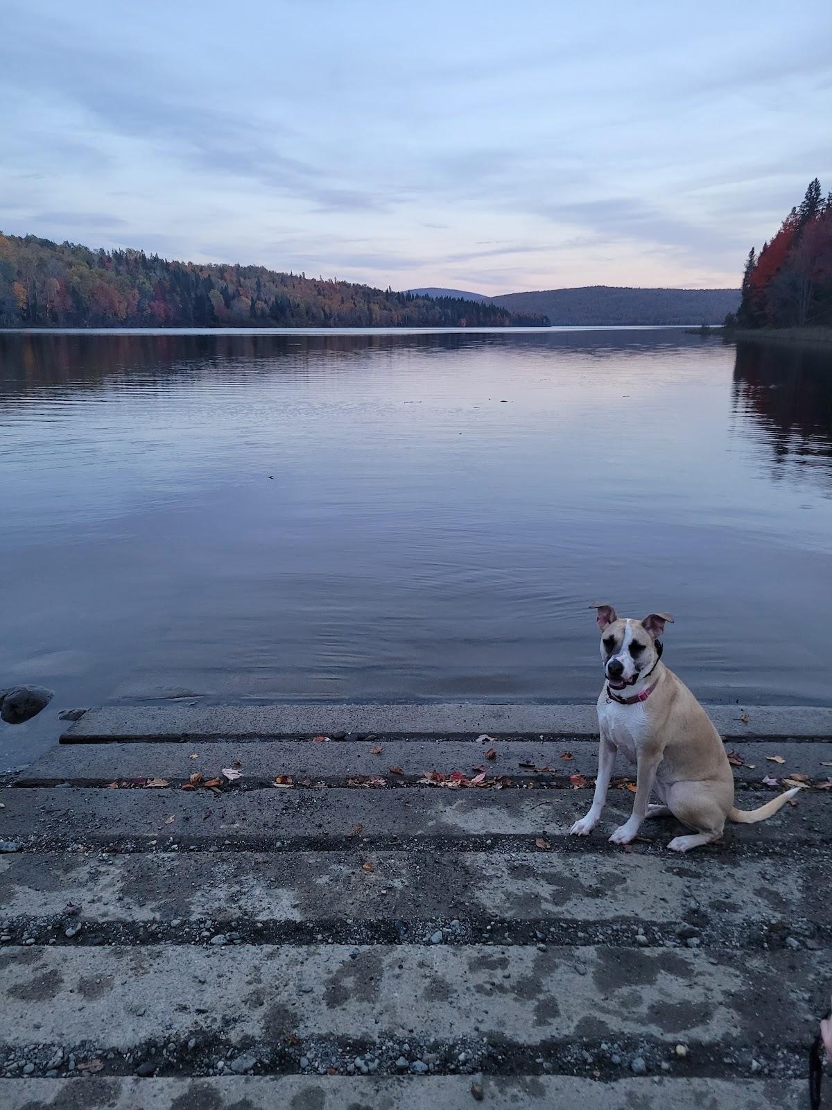 Sandee - Lake Francis State Park