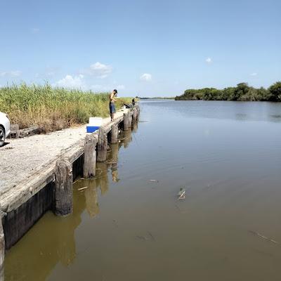 Sandee - Little Florida Beach. Johnson Bayou, La