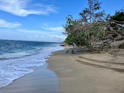 Sandee - Waihee Beach Park