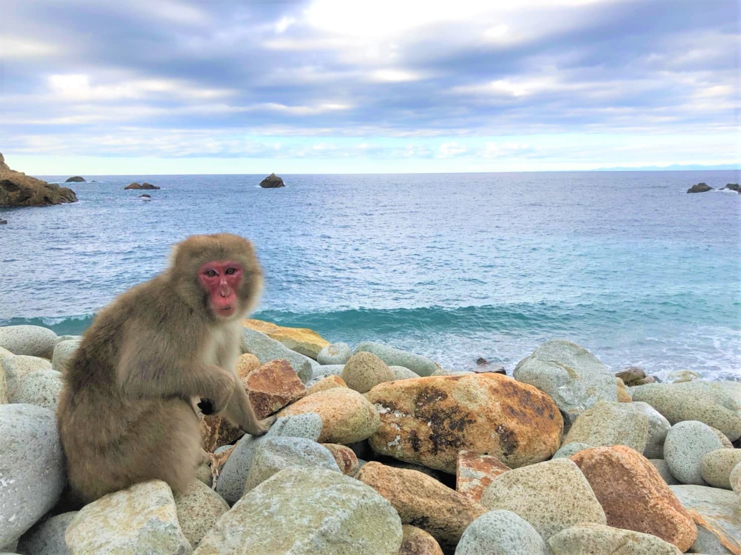 Sandee Hagachizaki Monkey Bay Photo
