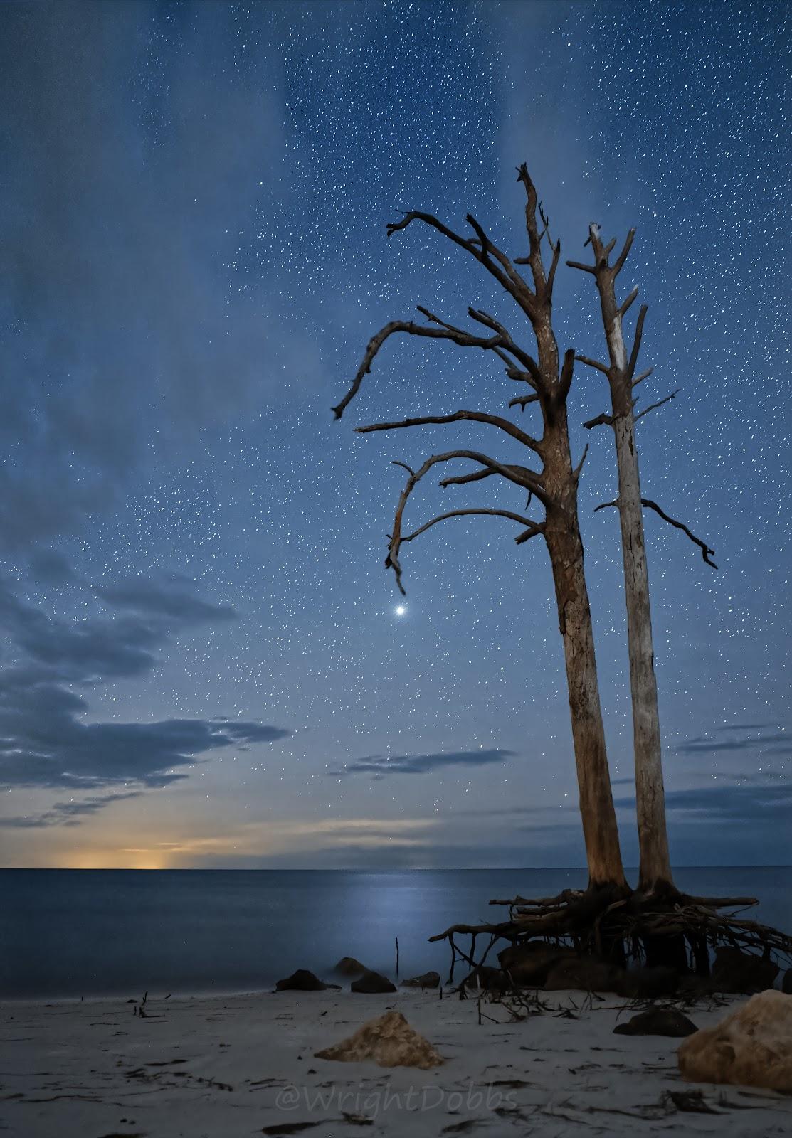 Sandee - Ochlockonee Point