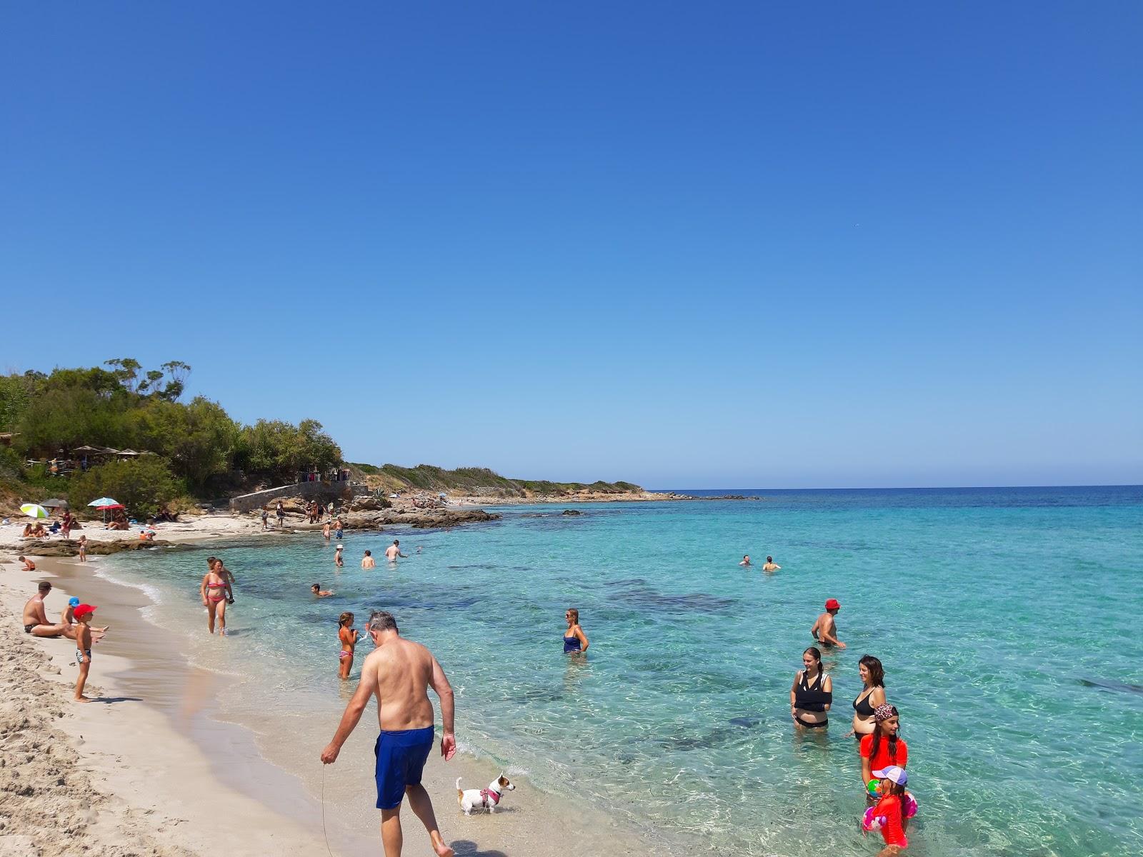 Sandee - Plage De Ghjunchitu