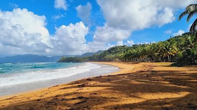 Sandee - Playa Lanza Del Norte