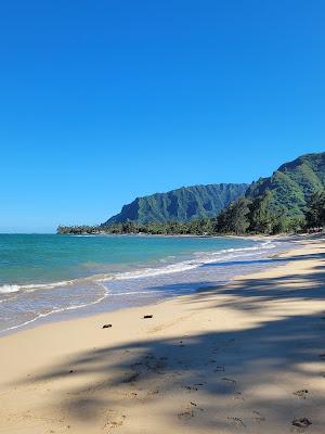 Sandee - Punaluu Beach Park