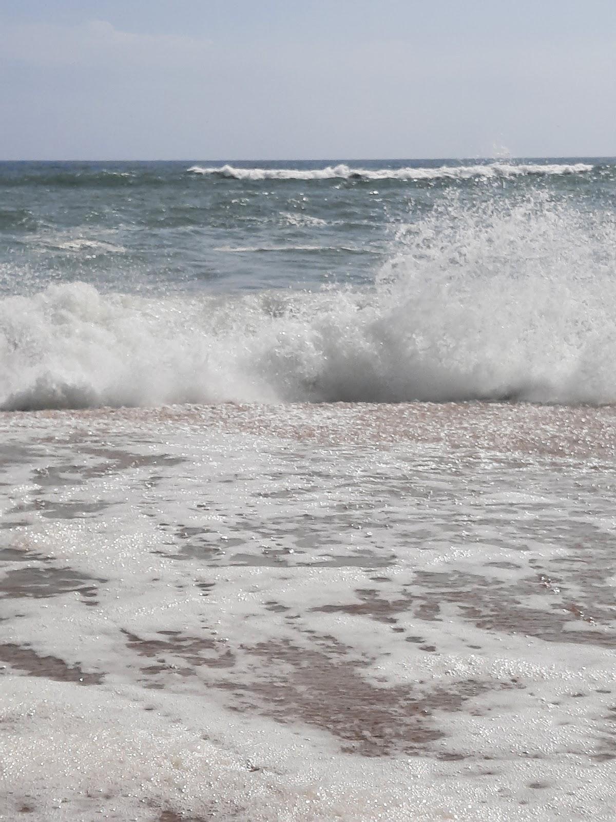Sandee Cryder Beach