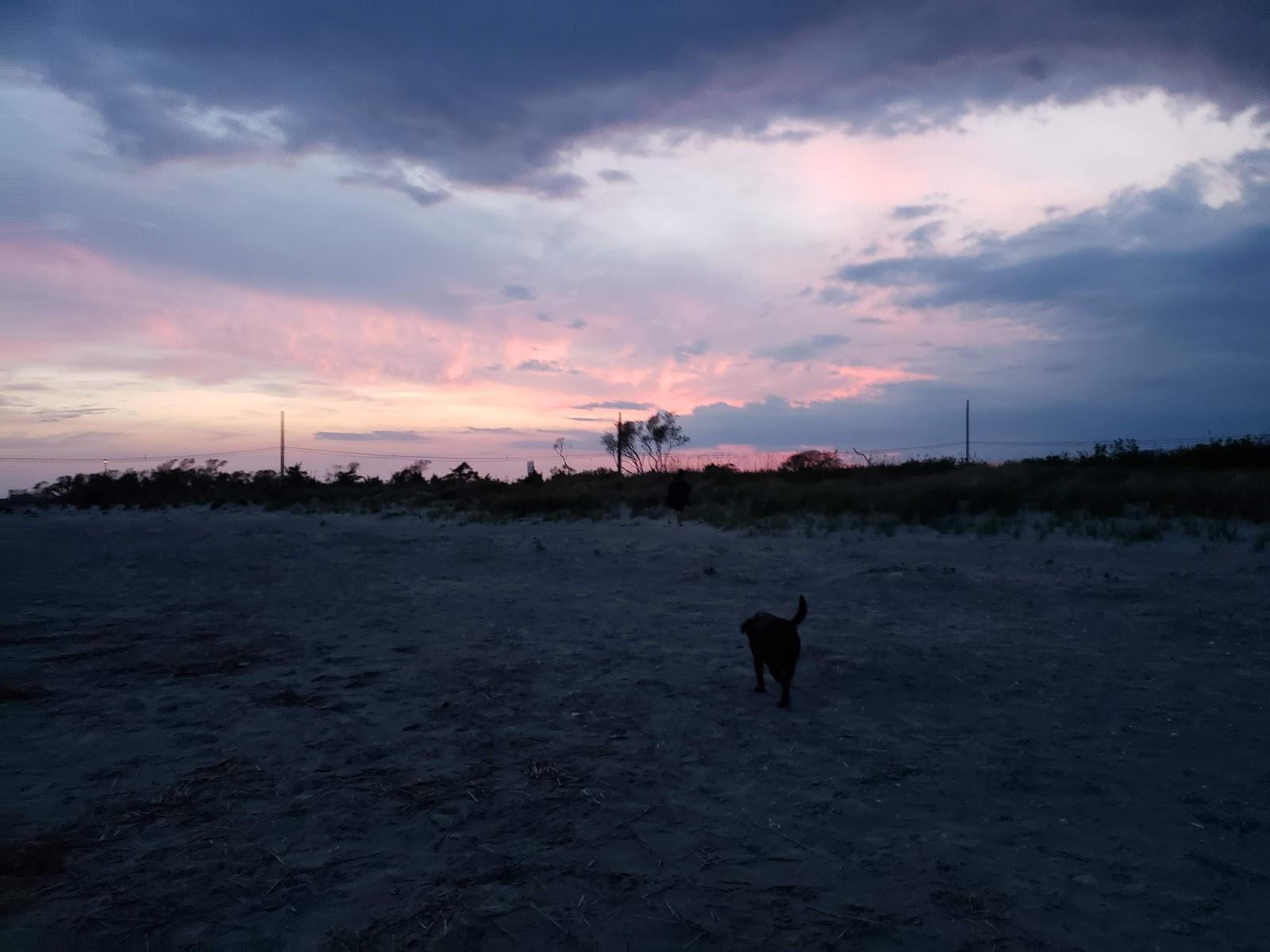 Sandee - Longport Dog Beach