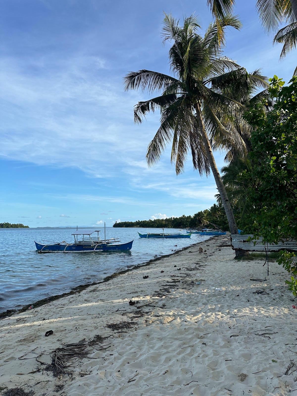 Sandee Malinao Beach