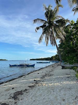 Sandee - Malinao Beach