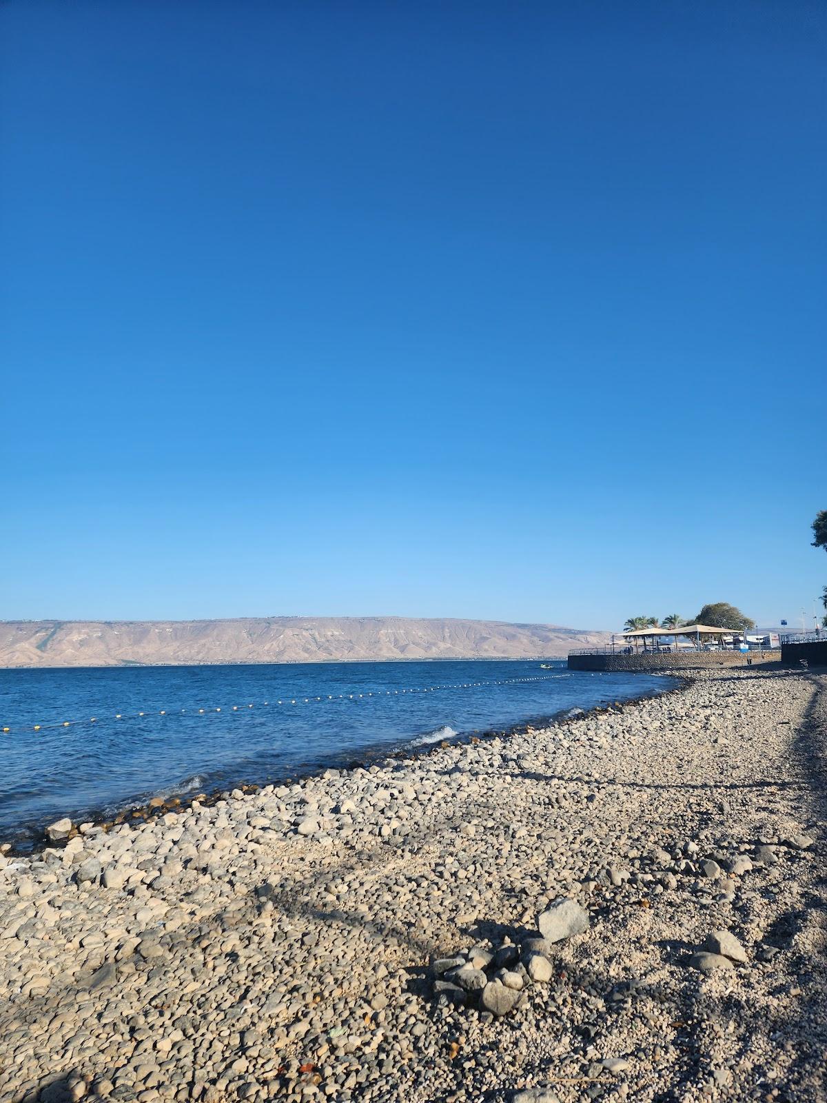 Sandee Shikmim Beach