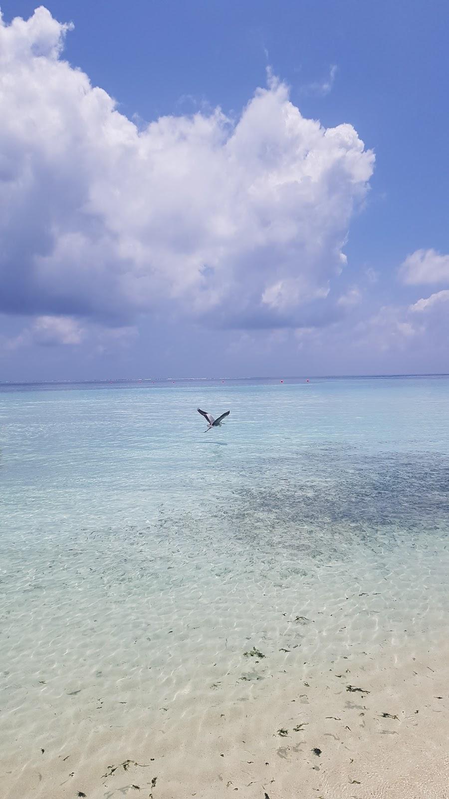Sandee Dhigu